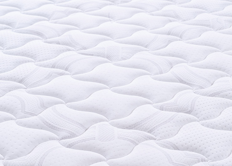 未标题-1-恢复的-恢复的_0000_IMG_0046 拷贝