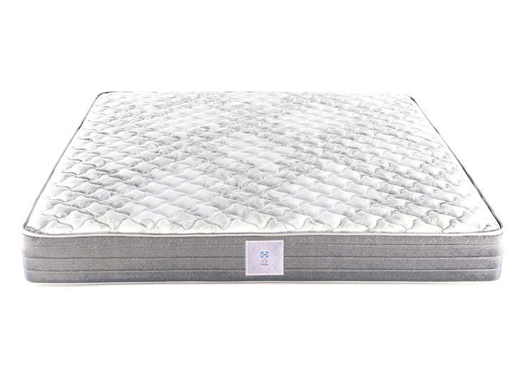 8ce87e6a55e27f3869755ef66eddf1fe