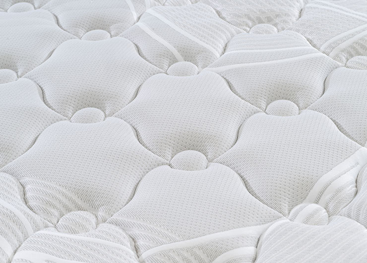 a500a9e4efe5cd9e51784942359e85dd